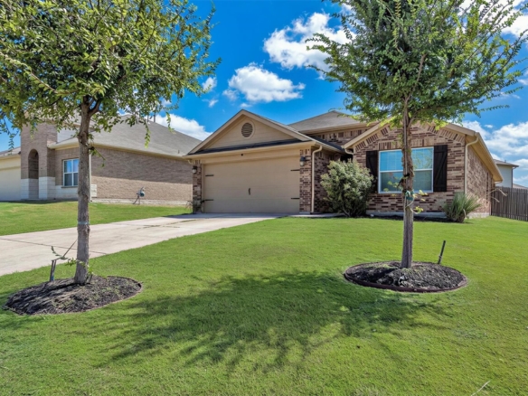 176 Dusky Thrush DR