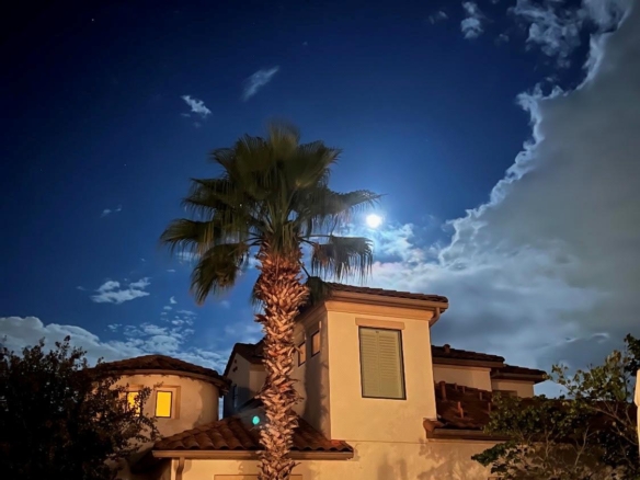 11617 Red Oak Valley LN