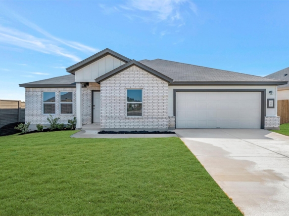 10200 Pink Billed Cuckoo DR