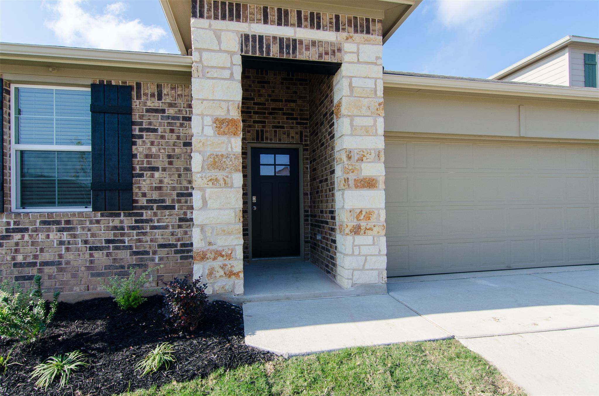 E 262 Fall Aster DR