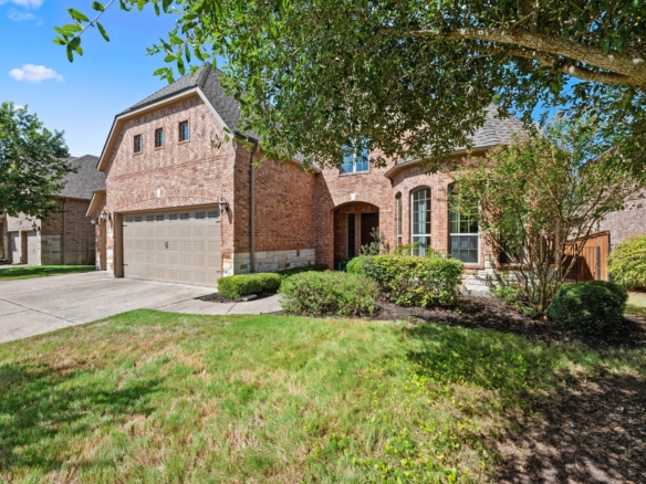 8808 Flycatcher CT