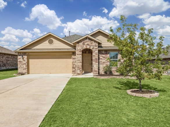 291 Dusky Thrush DR