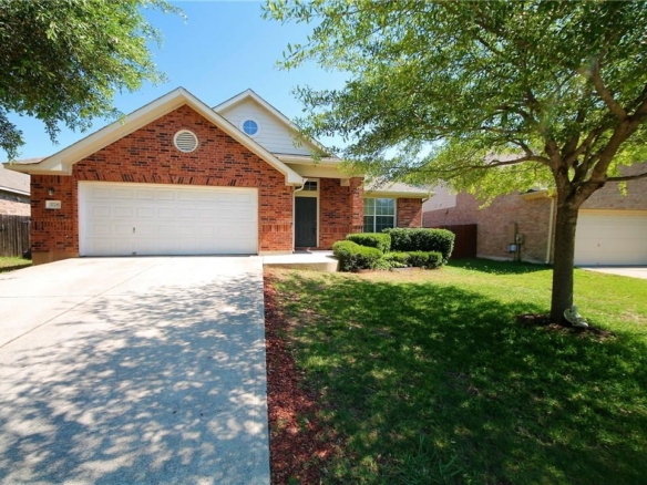3728 Pine Needle CIR