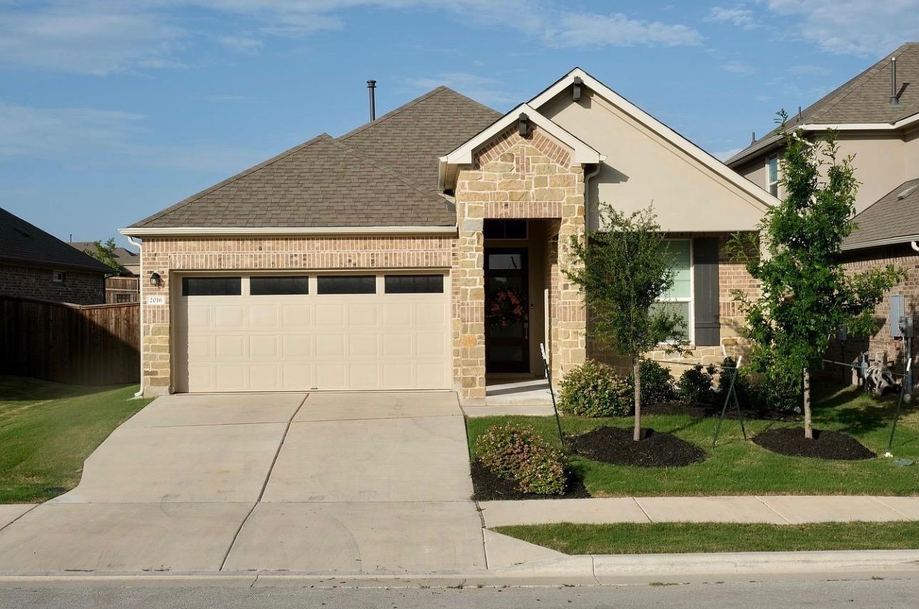 2016 Wilsons Warbler DR