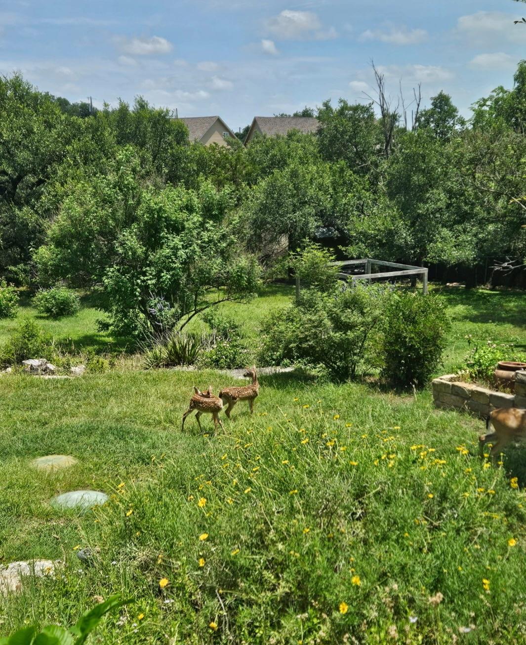 10210 Twin Lake LOOP